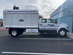 Vehicle Graphics, Custom Vehicle Graphics in Las Vegas, Custom Vehicle Graphics, Vehicle Graphic Services in Las Vegas